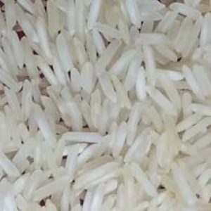 SUGANDHA-STEAM