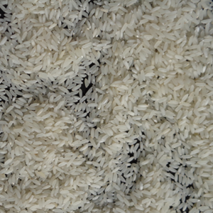 Sona-Masoori-Raw-Rice